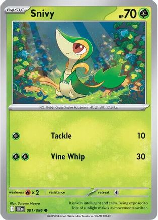 Snivy 001 SV Black Bolt