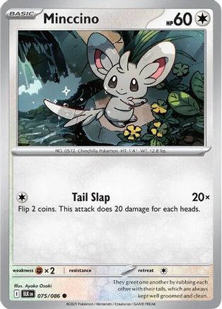 Minccino 075 SV Black Bolt