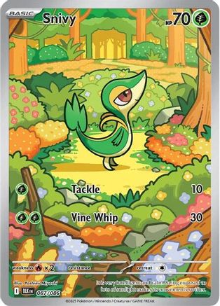 Snivy 087/086 - Holofoil SV Black Bolt
