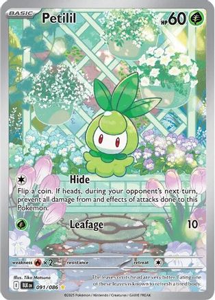Petilil 091/086 - Holofoil SV Black Bolt