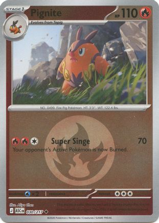 Pignite (Energy Symbol Pattern) 030 - Reverse Holofoil ME Ascended Heroes
