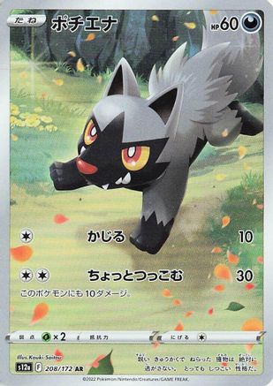 Poochyena - 208/172 (208/172) - S12a VSTAR Universe Holofoil (Japanese)