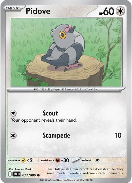 Pidove (073/086) [Scarlet & Violet: Black Bolt]