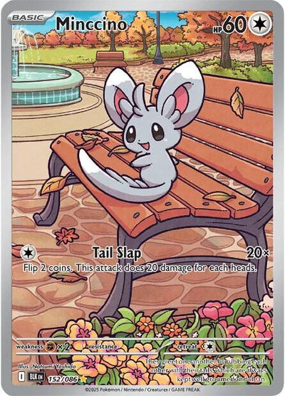Minccino (157/086) [Scarlet & Violet: Black Bolt]