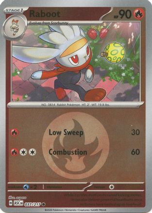 Raboot (Energy Symbol Pattern) 037  - Reverse Holofoil ME Ascended Heroes
