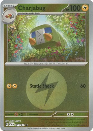Charjabug (Energy Symbol Pattern) 065  - Reverse Holofoil ME Ascended Heroes