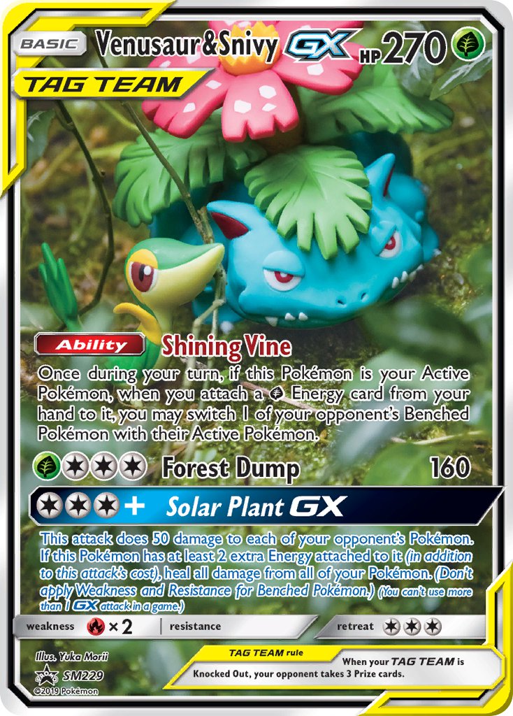 Venusaur & Snivy GX (SM229) [Sun & Moon: Black Star Promos]